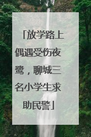 放学路上偶遇受伤夜鹭，聊城三名小学生求助民警