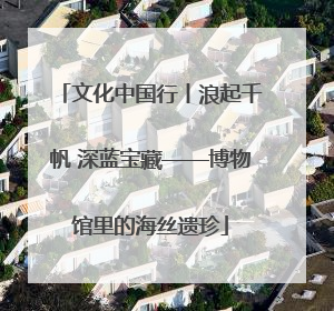 文化中国行丨浪起千帆 深蓝宝藏——博物馆里的海丝遗珍