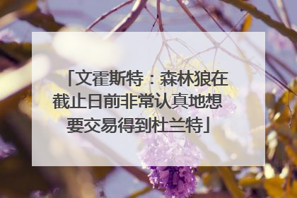 文霍斯特：森林狼在截止日前非常认真地想要交易得到杜兰特