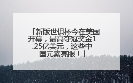 新版世俱杯今在美国开幕，最高夺冠奖金1.25亿美元，这些中国元素亮眼！