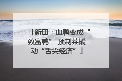 新田：血鸭变成“致富鸭” 预制菜撬动“舌尖经济”