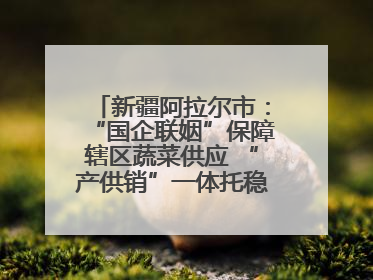 新疆阿拉尔市：“国企联姻”保障辖区蔬菜供应 “产供销”一体托稳市民菜篮子