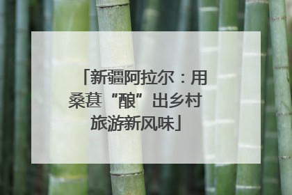 新疆阿拉尔：用桑葚“酿”出乡村旅游新风味