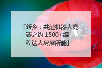 新乡：共赴机器人竞赛之约 1500+编程达人尽展所能