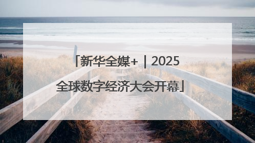 新华全媒+｜2025全球数字经济大会开幕