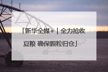 新华全媒+｜全力抢收夏粮 确保颗粒归仓