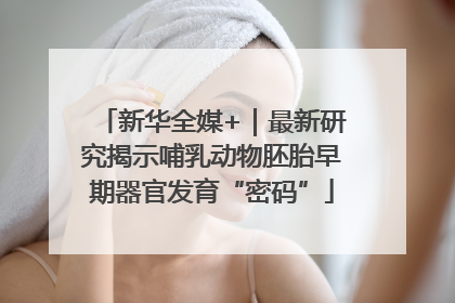 新华全媒+｜最新研究揭示哺乳动物胚胎早期器官发育“密码”