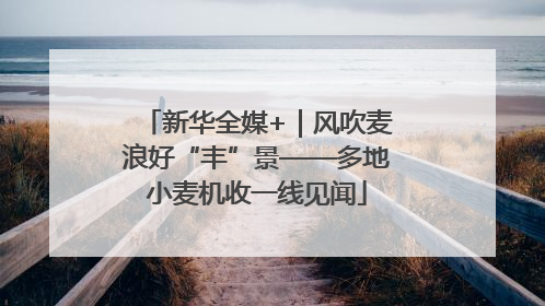 新华全媒+｜风吹麦浪好“丰”景——多地小麦机收一线见闻