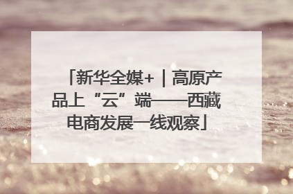 新华全媒+｜高原产品上“云”端——西藏电商发展一线观察