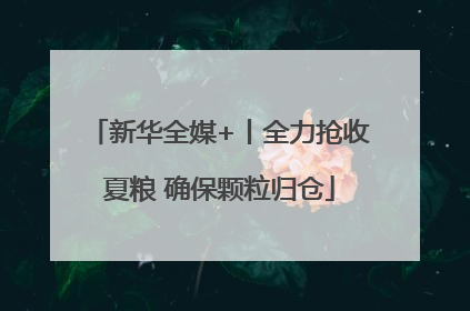新华全媒+丨全力抢收夏粮 确保颗粒归仓