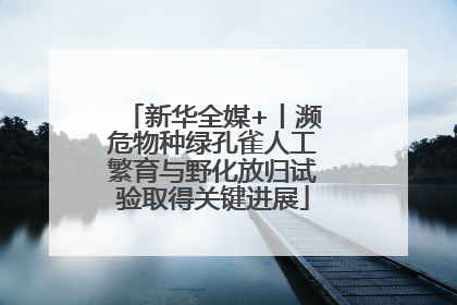 新华全媒+丨濒危物种绿孔雀人工繁育与野化放归试验取得关键进展