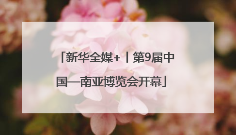 新华全媒+丨第9届中国—南亚博览会开幕