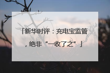 新华时评：充电宝监管，绝非“一收了之”