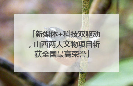 新媒体+科技双驱动，山西两大文物项目斩获全国最高荣誉