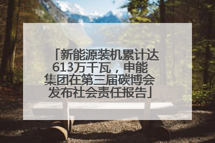 新能源装机累计达613万千瓦，申能集团在第三届碳博会发布社会责任报告