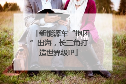 新能源车“抱团”出海，长三角打造世界级IP