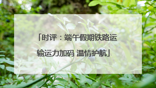 时评：端午假期铁路运输运力加码 温情护航