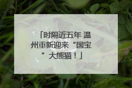 时隔近五年 温州重新迎来“国宝”大熊猫！
