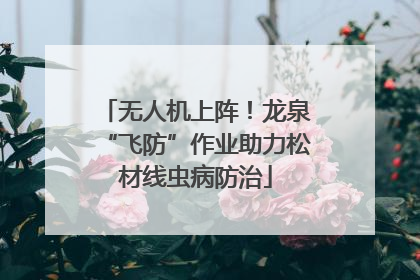 无人机上阵！龙泉“飞防”作业助力松材线虫病防治