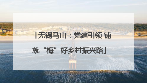 无锡马山：党建引领 铺就“梅”好乡村振兴路