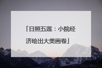 日照五莲：小院经济绘出大美画卷