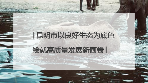 昆明市以良好生态为底色绘就高质量发展新画卷