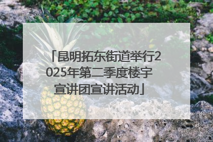 昆明拓东街道举行2025年第二季度楼宇宣讲团宣讲活动