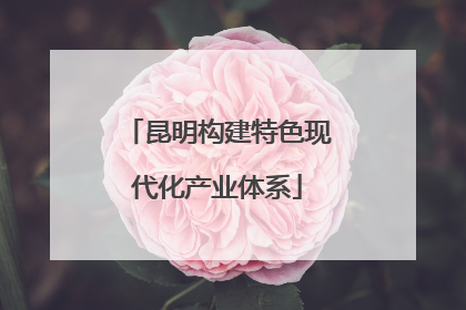 昆明构建特色现代化产业体系