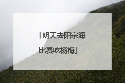 明天去阳宗海比赛吃杨梅