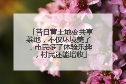 昔日黄土地变共享菜地，不仅环境美了，市民多了体验乐趣，村民还能增收