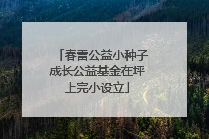 春雷公益小种子成长公益基金在坪上完小设立