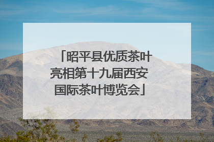 昭平县优质茶叶亮相第十九届西安国际茶叶博览会