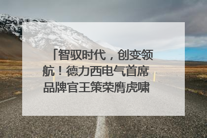 智驭时代，创变领航！德力西电气首席品牌官王策荣膺虎啸奖年度品牌人物