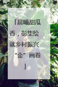 晨曦甜瓜香，彭集绘就乡村振兴“金”画卷