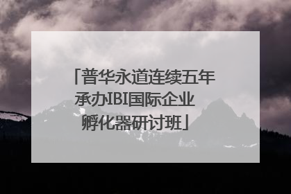 普华永道连续五年承办IBI国际企业孵化器研讨班