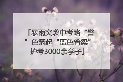 暴雨突袭中考路“警”色筑起“蓝色脊梁”护考3000余学子