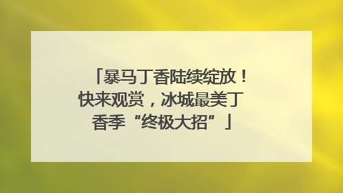 暴马丁香陆续绽放！快来观赏，冰城最美丁香季“终极大招”