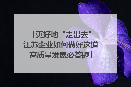 更好地“走出去” 江苏企业如何做好这道高质量发展必答题