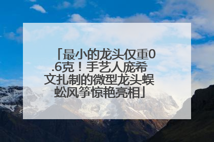 最小的龙头仅重0.6克！手艺人庞希文扎制的微型龙头蜈蚣风筝惊艳亮相