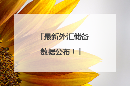 最新外汇储备数据公布！