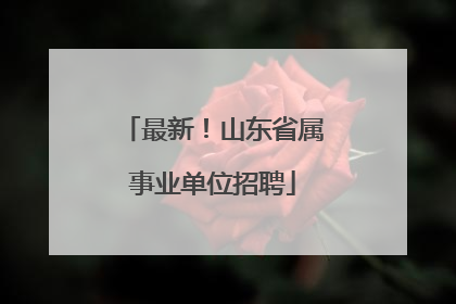 最新！山东省属事业单位招聘