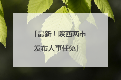 最新！陕西两市发布人事任免
