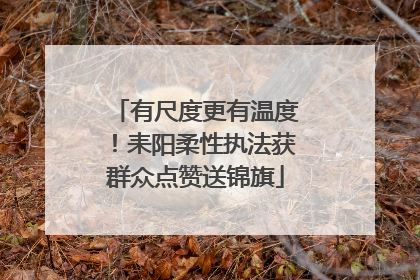 有尺度更有温度！耒阳柔性执法获群众点赞送锦旗