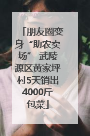 朋友圈变身“助农卖场” 武陵源区黄家坪村5天销出4000斤包菜