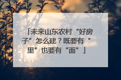 未来山东农村“好房子”怎么建？既要有“里”也要有“面”