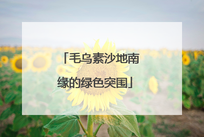 毛乌素沙地南缘的绿色突围