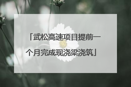 武松高速项目提前一个月完成现浇梁浇筑