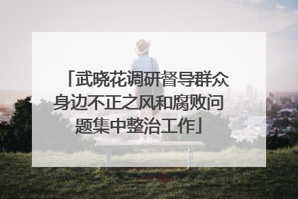 武晓花调研督导群众身边不正之风和腐败问题集中整治工作
