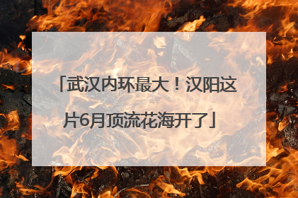武汉内环最大！汉阳这片6月顶流花海开了
