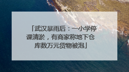 武汉暴雨后：一小学停课清淤，有商家称地下仓库数万元货物被泡
